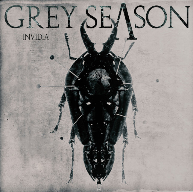 grey_season_invidia_artwork