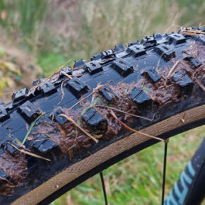 VEE Tire Crown GEM Reifen für XC und Trail: Die schnelle Pelle im Test