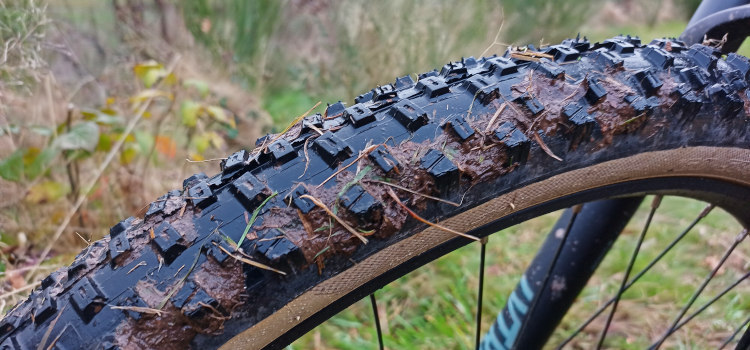 VEE Tire Crown GEM Reifen für XC und Trail: Die schnelle Pelle im Test